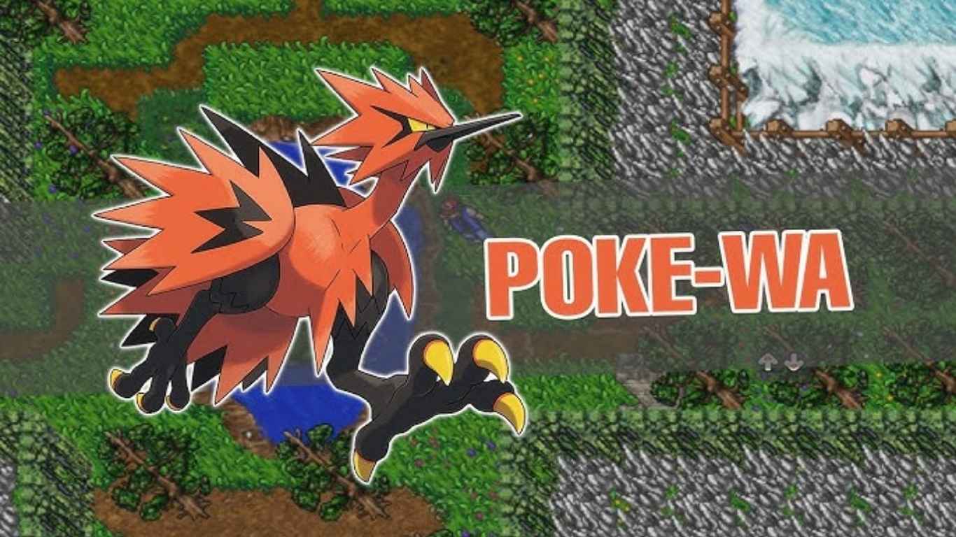 Everything You Need to Know About Pokw – A Comprehensive Guide for the Curious Mind